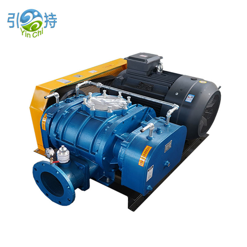 Bawo ni Awọn Gbongbo Ipa Nẹtiwọọki Ṣe Afẹfẹ Pump Fọọmu Imudara Imudara Iwọn-kikun Ounjẹ Igbale Iṣakojọpọ Ṣiṣẹ Ṣiṣẹ?